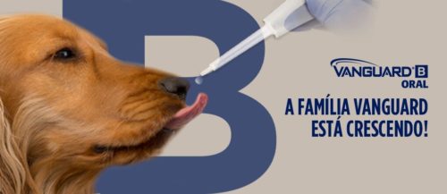Vanguard B - Vacina oral para cães